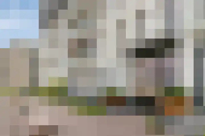 Het Glacis 93 Zutphen thumbnail 32