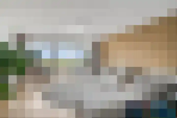 Het Glacis 93 Zutphen thumbnail 5