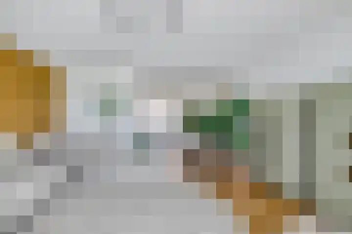 Het Glacis 93 Zutphen thumbnail 6