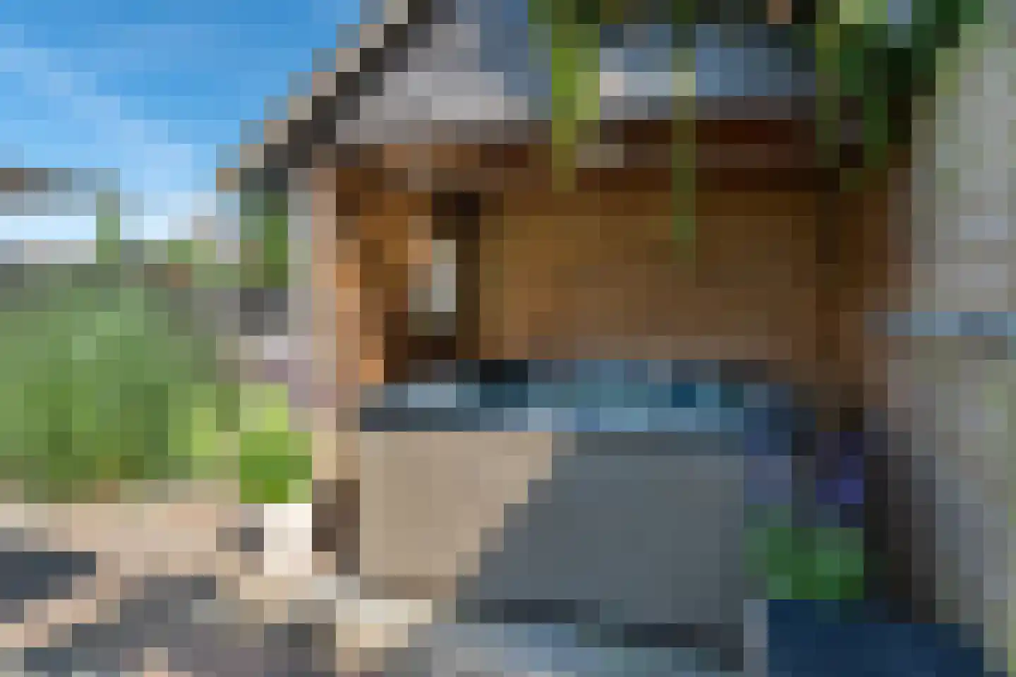 Het Golden Cruys 6 Dokkum thumbnail 42