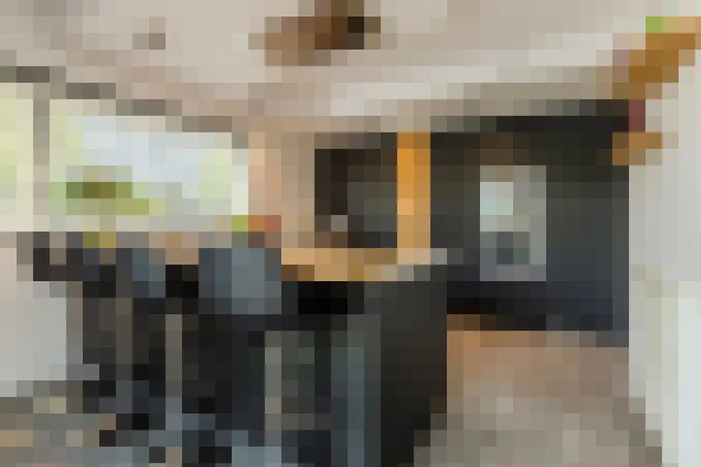 Het Goorke 7 Oosterhout thumbnail 13