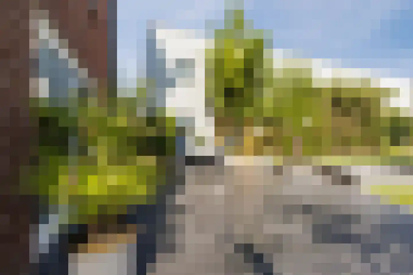 Het Goorke 7 Oosterhout thumbnail 43