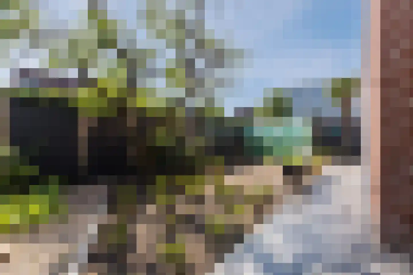 Het Goorke 7 Oosterhout thumbnail 45