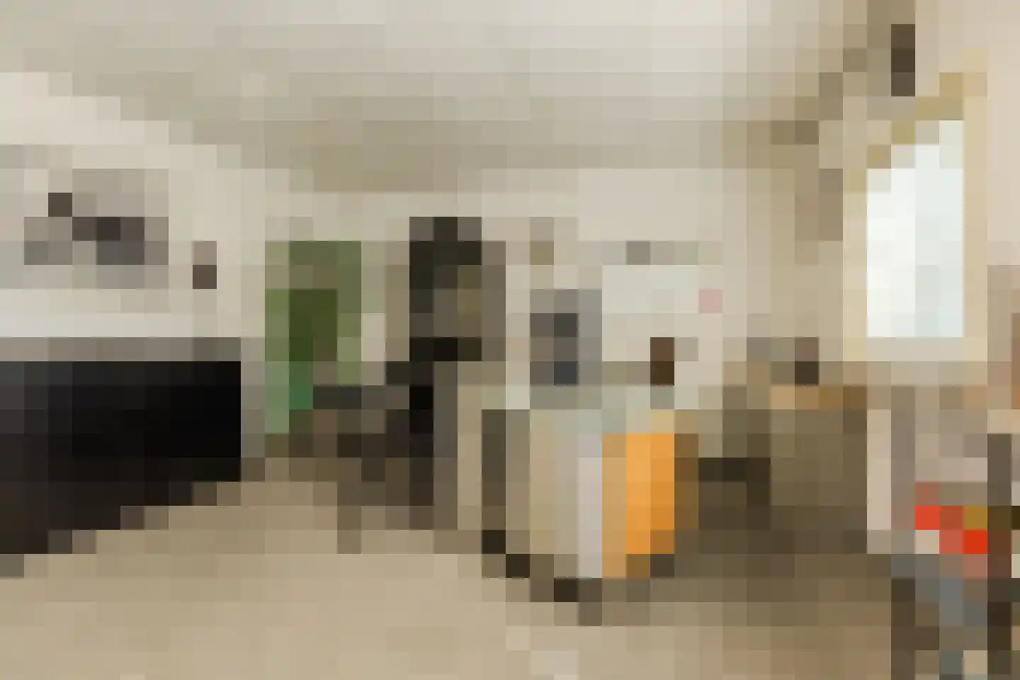 Het Goorke 7 Oosterhout thumbnail 58