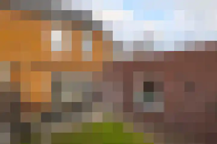 Het Groen 18 b Knegsel thumbnail 4