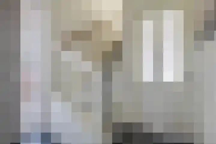 Het Groen 18 b Knegsel thumbnail 6