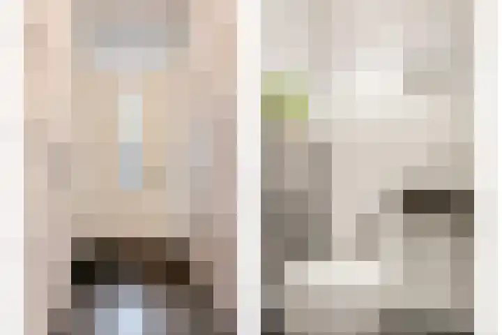 Het Groen 34 b Knegsel thumbnail 10