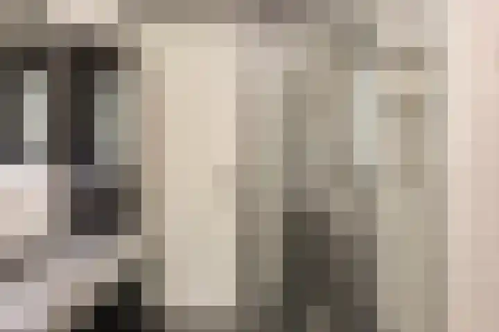 Het Groen 34 b Knegsel thumbnail 14