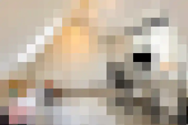Het Groen 34 b Knegsel thumbnail 19