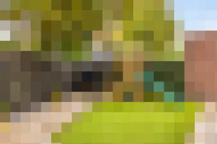 Het Groen 34 b Knegsel thumbnail 23