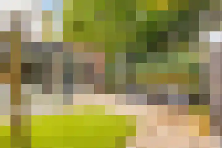 Het Groen 34 b Knegsel thumbnail 24