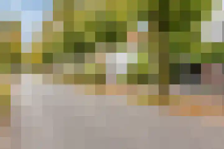 Het Groen 34 b Knegsel thumbnail 27