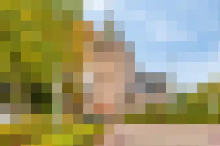 Het Groen 34 b Knegsel thumbnail 28