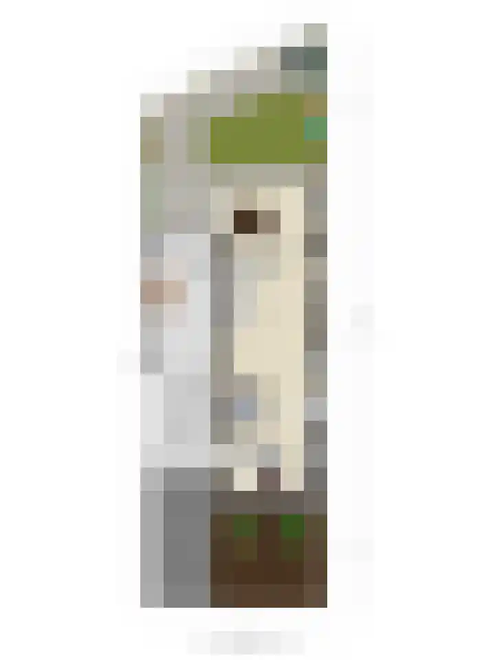 Het Groen 34 b Knegsel thumbnail 32