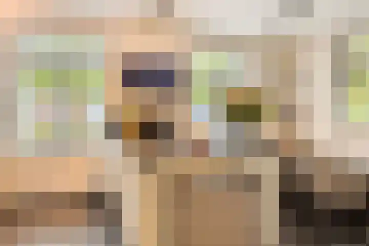 Het Groen 34 b Knegsel thumbnail 6