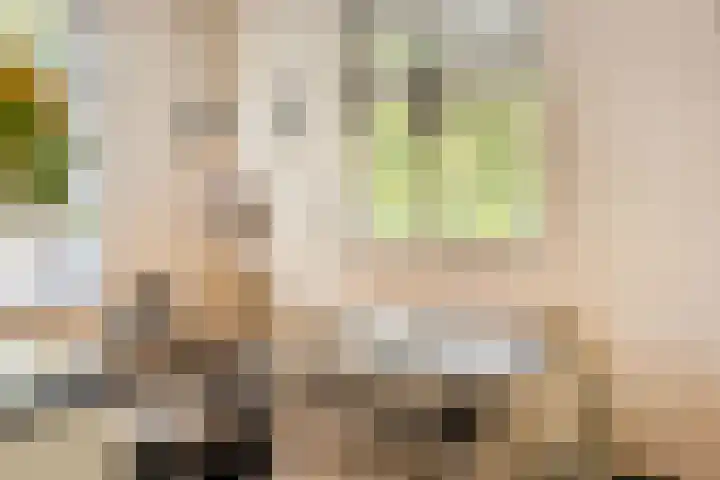 Het Groen 34 b Knegsel thumbnail 7