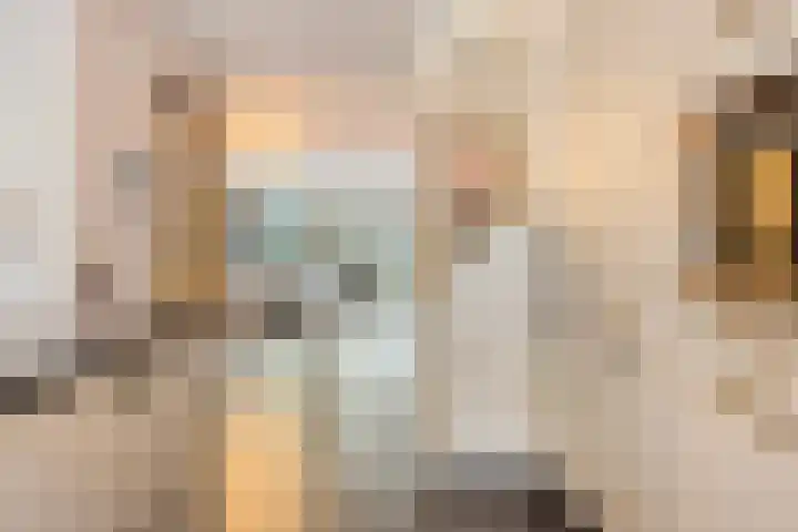 Het Groen 34 b Knegsel thumbnail 9