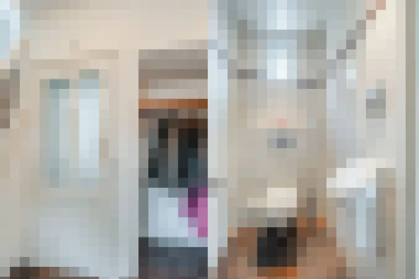 Het Groen 38 Knegsel thumbnail 25