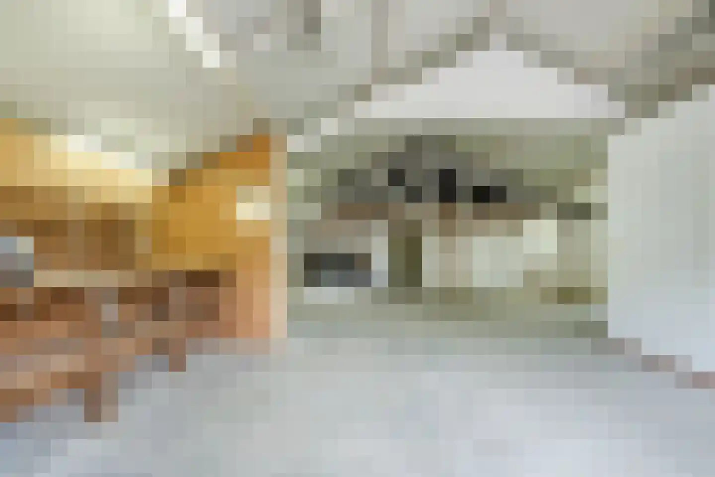 Het Groen 38 Knegsel thumbnail 42