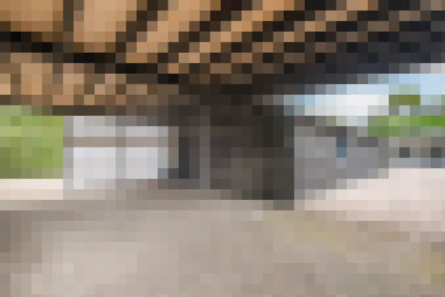 Het Groen 38 Knegsel thumbnail 45