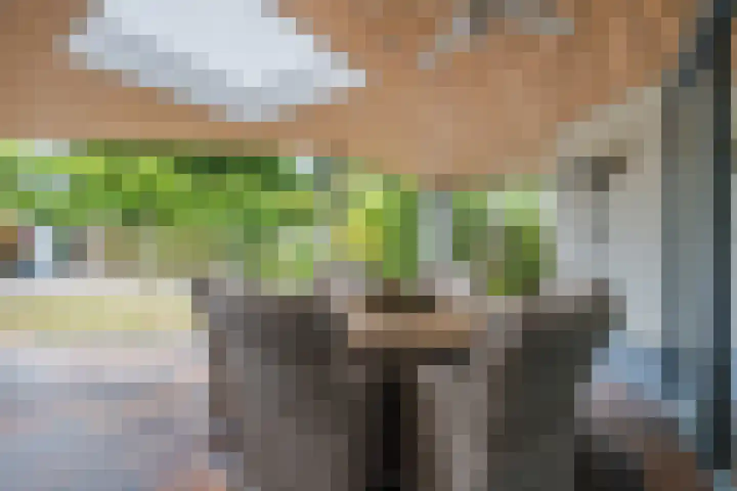 Het Groen 38 Knegsel thumbnail 47
