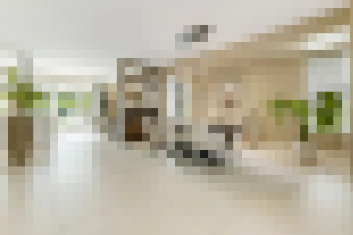 Het Groen 4 c Knegsel thumbnail 11