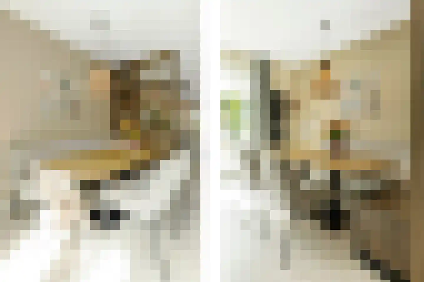 Het Groen 4 c Knegsel thumbnail 14