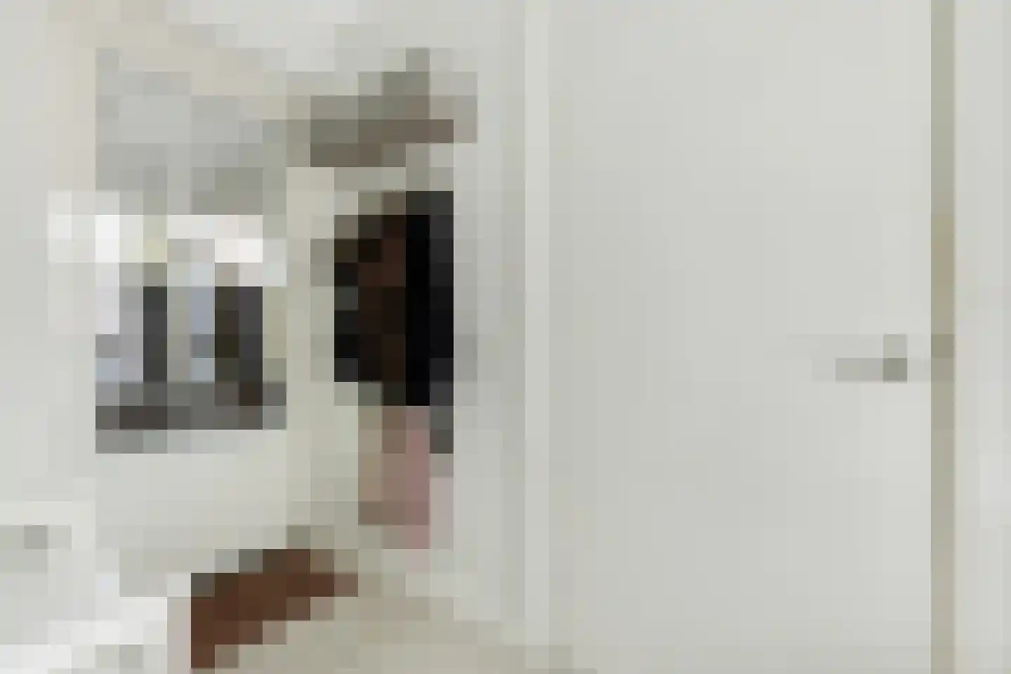 Het Groen 4 c Knegsel thumbnail 20