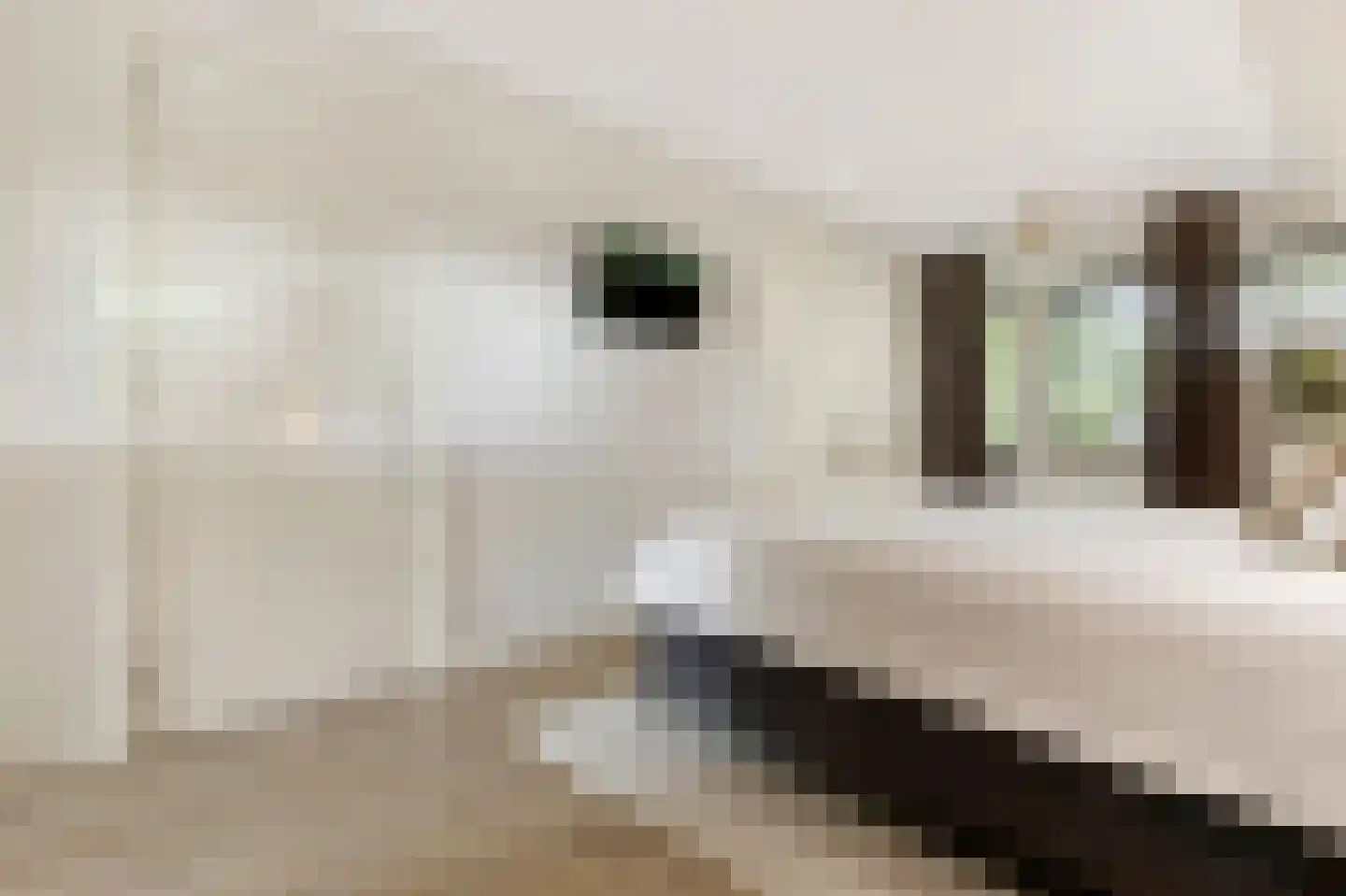 Het Groen 4 c Knegsel thumbnail 25