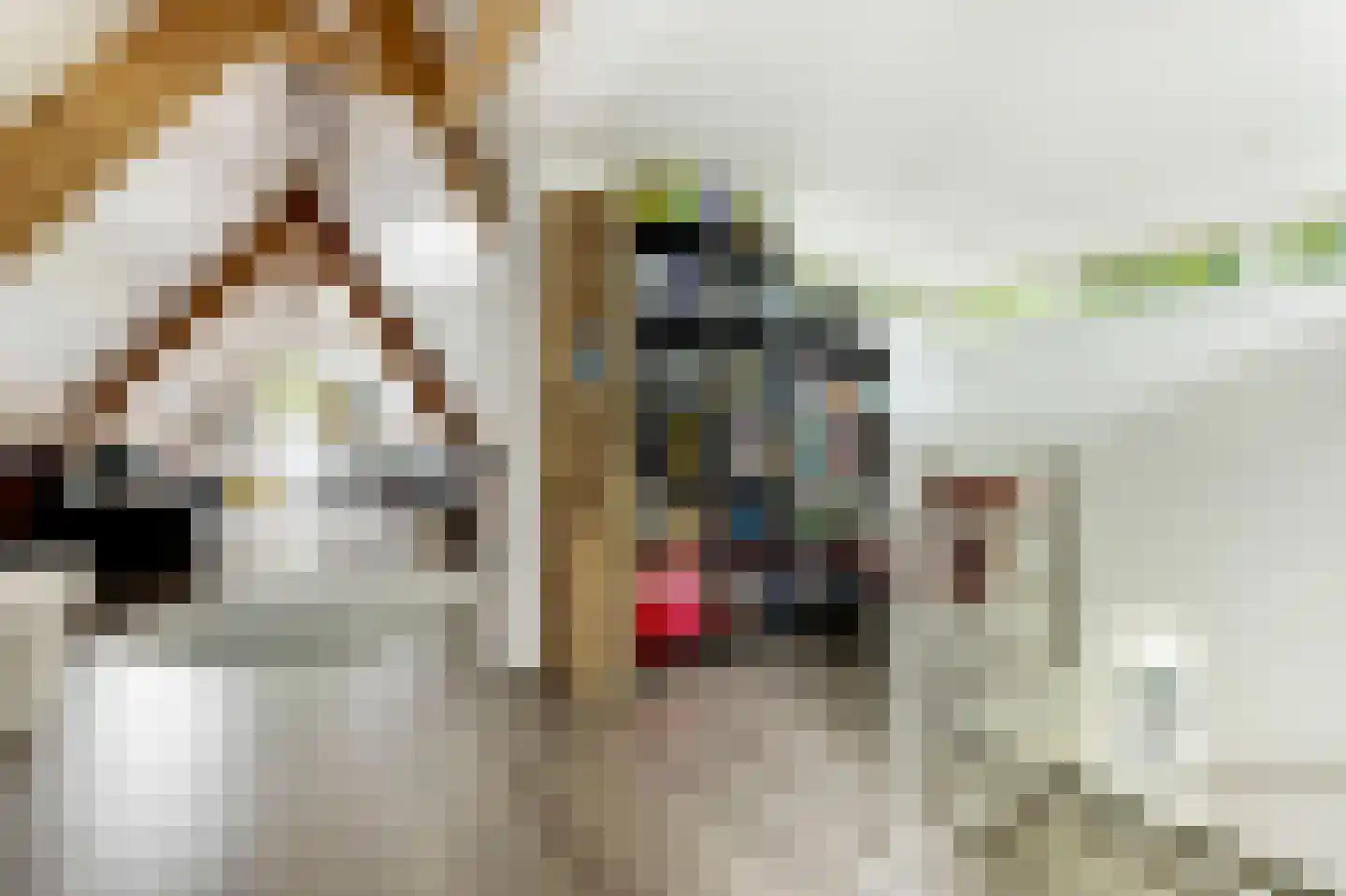 Het Groen 4 c Knegsel thumbnail 35