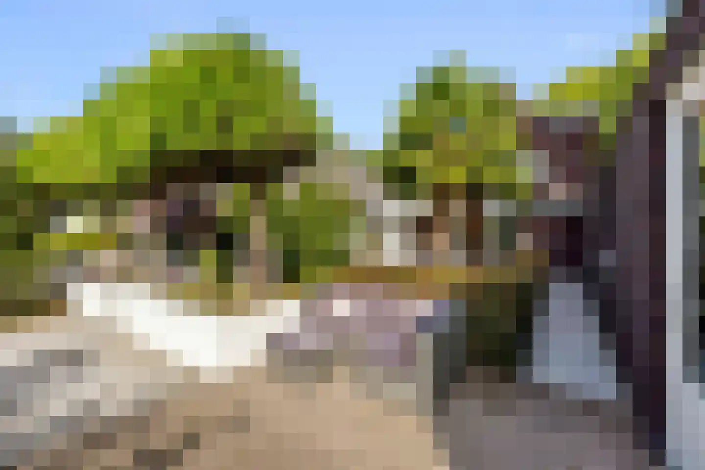 Het Groen 4 c Knegsel thumbnail 45