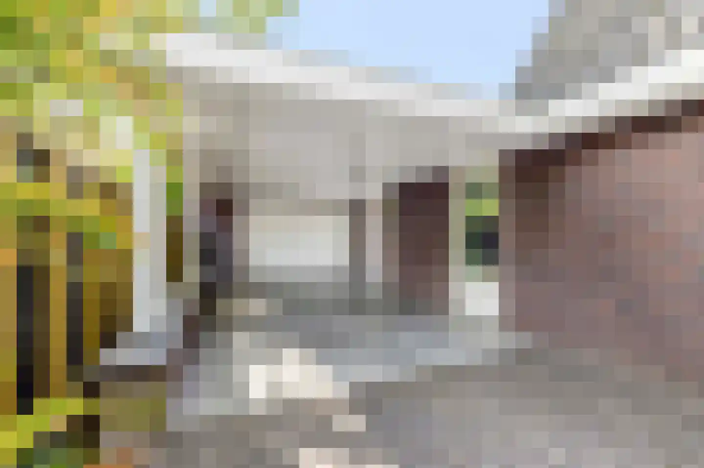 Het Groen 4 c Knegsel thumbnail 49