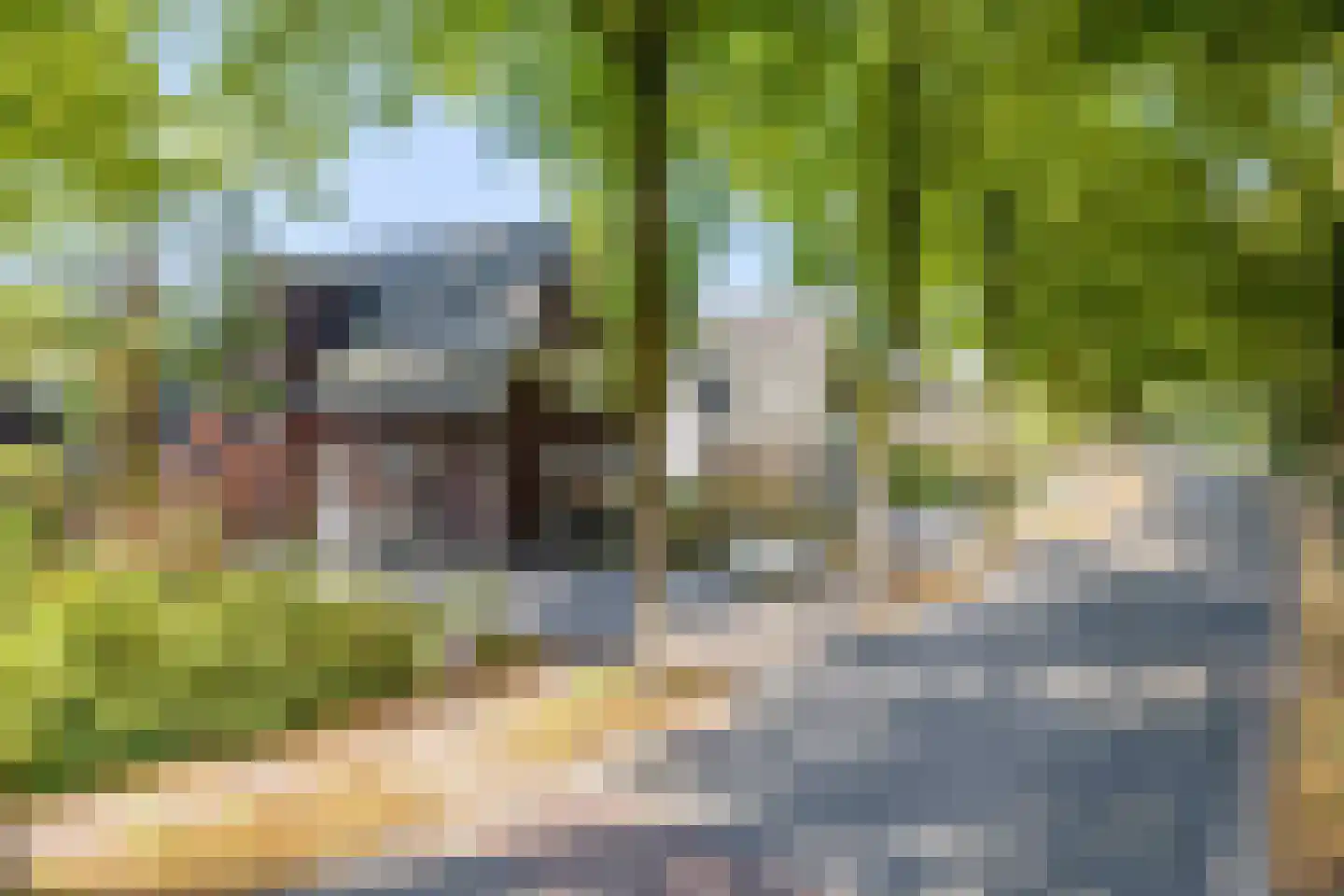 Het Groen 4 c Knegsel thumbnail 53