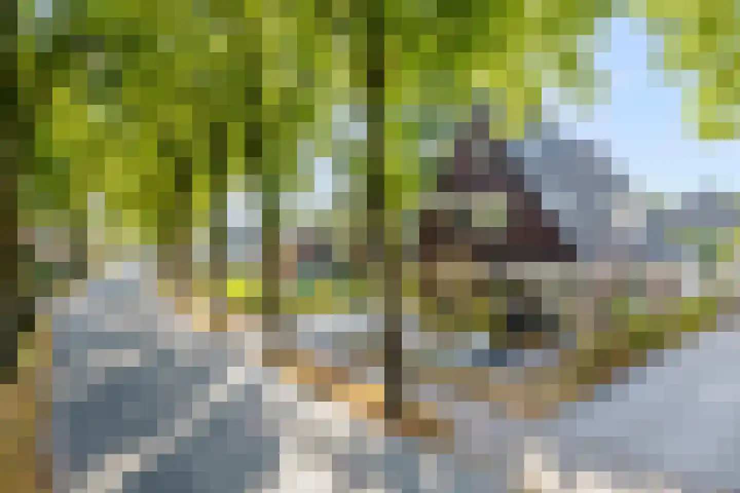 Het Groen 4 c Knegsel thumbnail 54