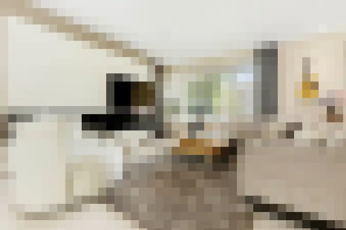 Het Groen 4 c Knegsel thumbnail 6