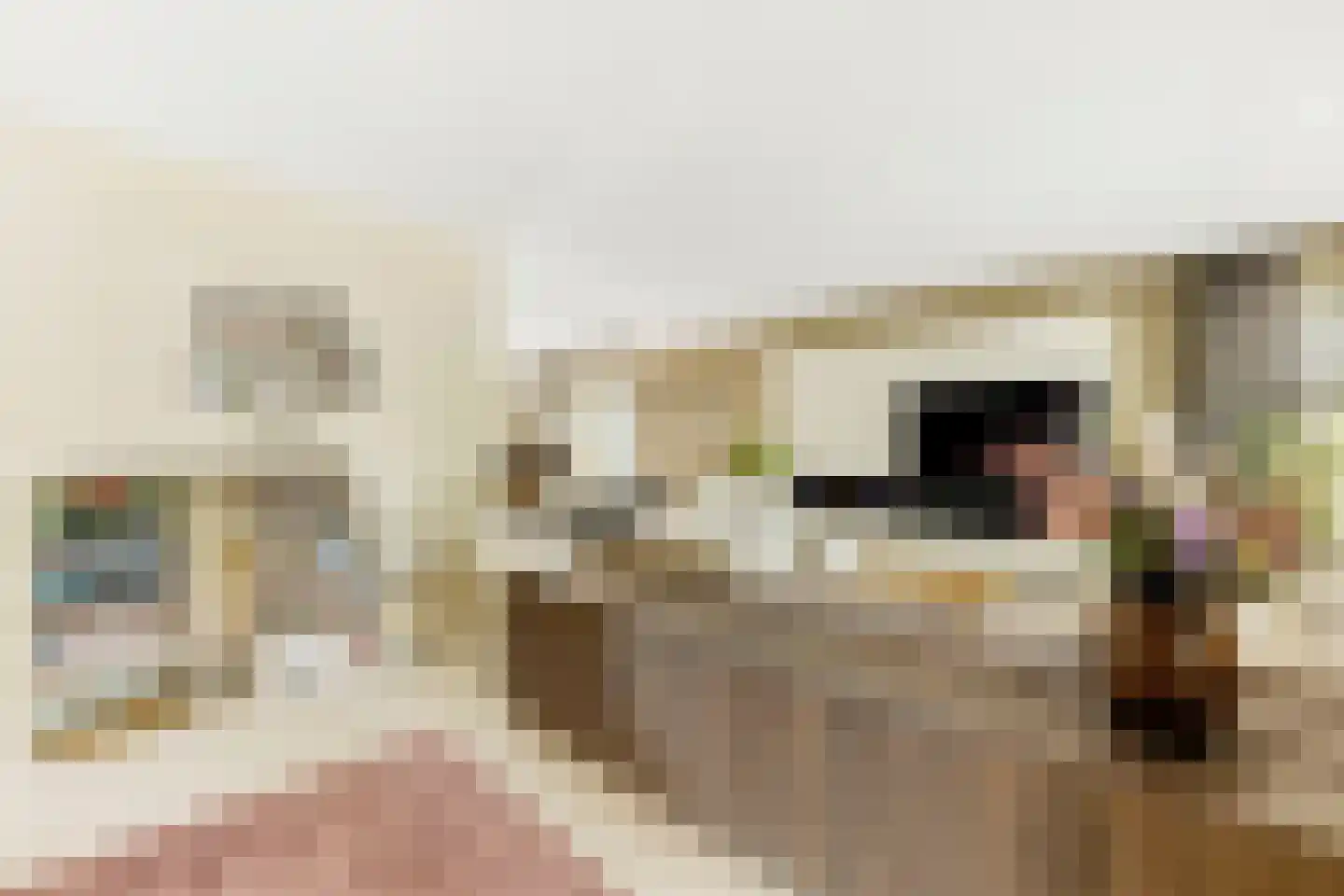 Het Groen 4 c Knegsel thumbnail 8