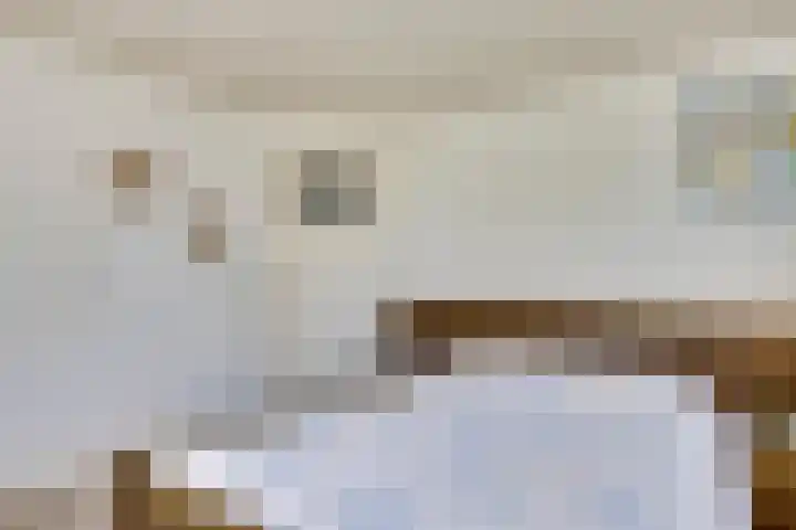 Het Groen 55 A Knegsel thumbnail 20