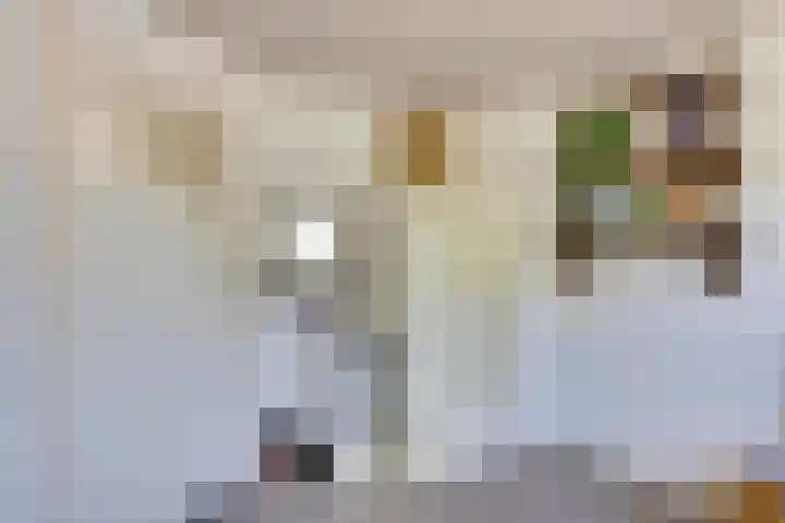 Het Groen 55 A Knegsel thumbnail 23