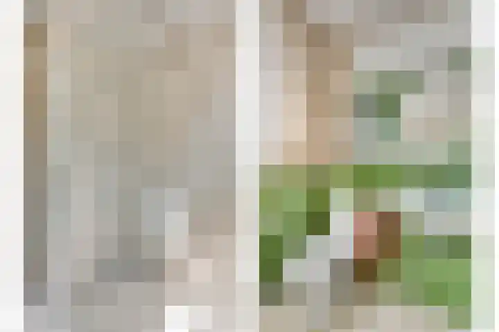 Het Groen 55 A Knegsel thumbnail 25