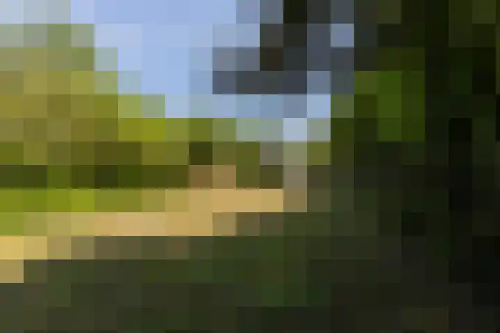 Het Groen 55 A Knegsel foto 3