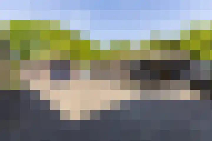 Het Groen 55 A Knegsel thumbnail 32