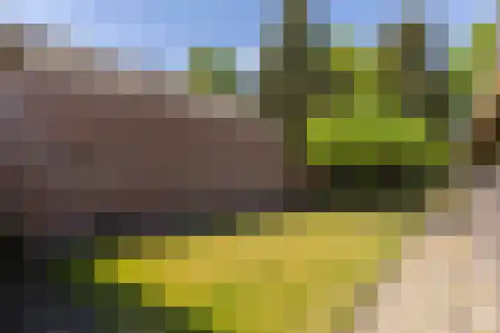 Het Groen 55 A Knegsel thumbnail 33
