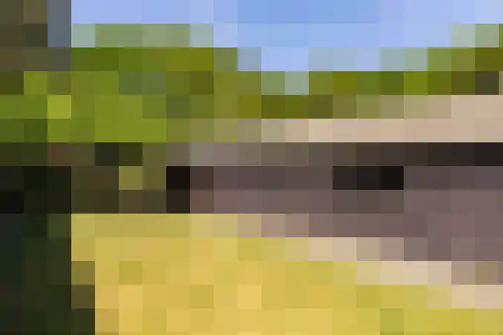 Het Groen 55 A Knegsel thumbnail 34