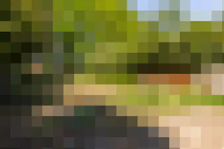 Het Groen 55 A Knegsel thumbnail 35