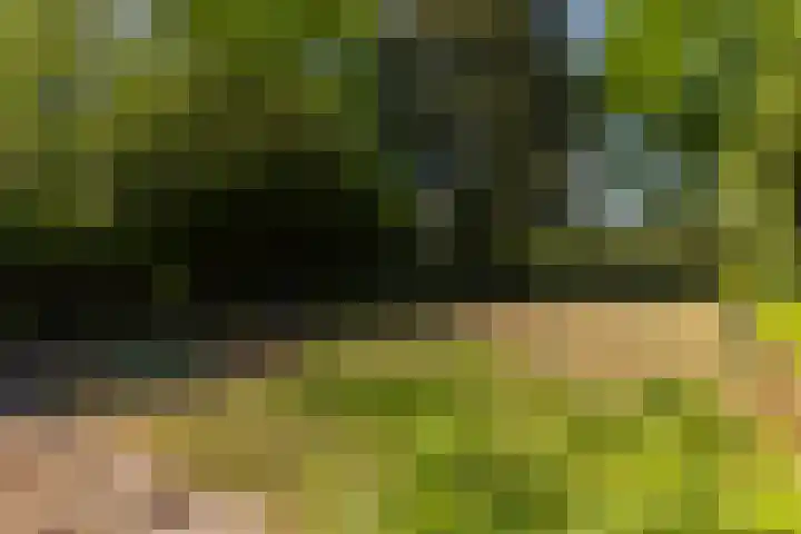 Het Groen 55 A Knegsel thumbnail 36