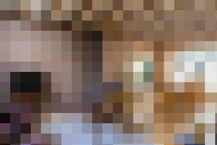 Het Groen 55 A Knegsel thumbnail 4