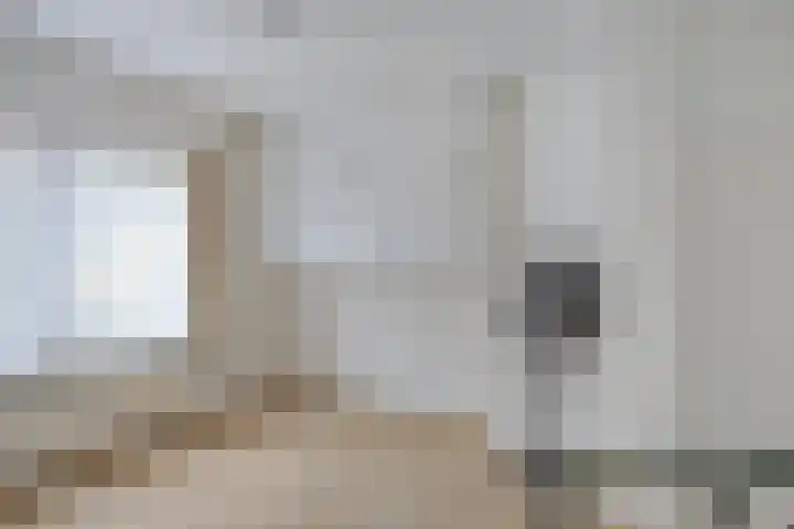 Het Groen 9 Knegsel thumbnail 18