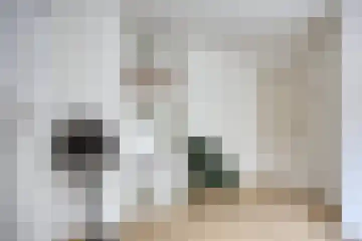 Het Groen 9 Knegsel thumbnail 19