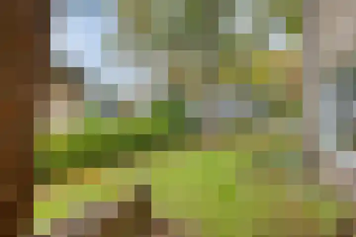 Het Groen 9 Knegsel thumbnail 22