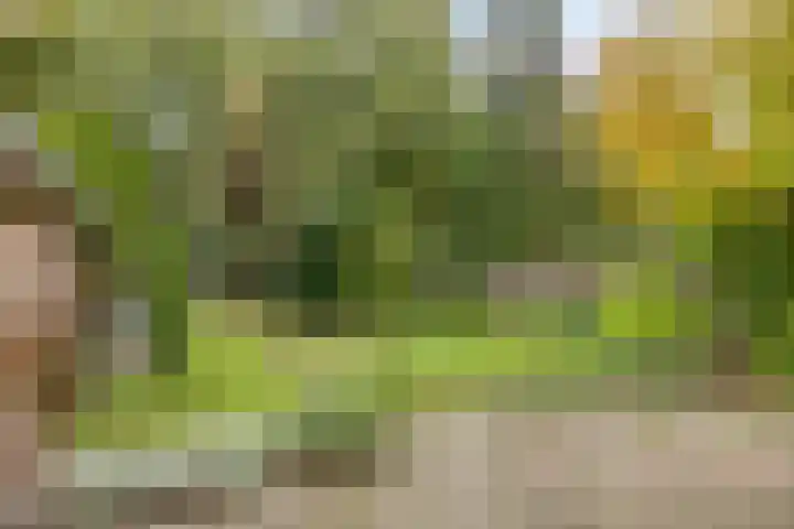 Het Groen 9 Knegsel thumbnail 23